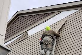 Best Aluminum Siding Installation  in Lady Lake, FL